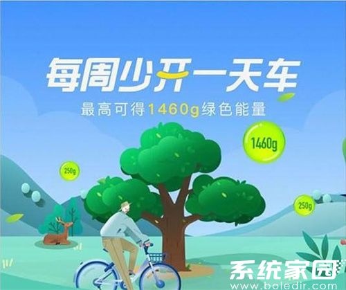 蚂蚁森林能量雨活动界面