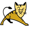 Tomcat免安装轻量级服务器工具v10.0.14 中文版