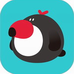 犀鸟好前途公考学习助手