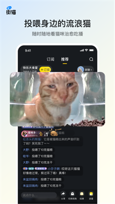 u8857u732b