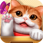  治愈猫咪养成免费游戏