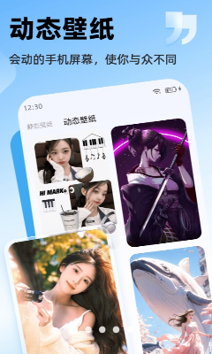 软件界面展示