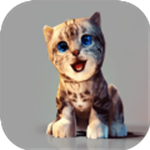 真实小猫3D模拟特别版本