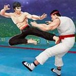 功夫大师免费版全角色畅玩