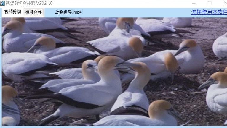 u89c6u9891u526au5207u5408u5e76u5927u5e08u514du8d39u7248 