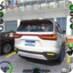 汽车驾驶学校3D免费驾驶学习