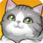养了个猫2024最新版