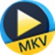 Aiseesoft全能MKV播放器高清影音解决方案v6.6.10