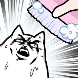 猫主子洗澡大冒险